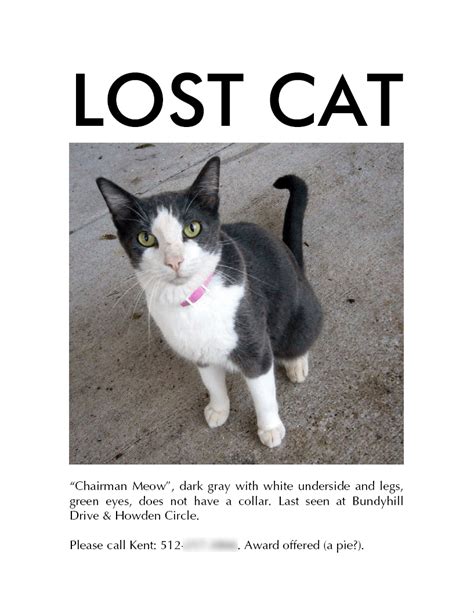 Lost cat - 2. Spread your cat’s litter outside. We definitely recommend using gloves for this tip, but spreading used cat litter outside creates a pungent aroma that’s sure to get your cat’s attention. 3. Set out some stinky food. According …